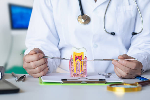 Best Dentist for Tooth Abscess  in Benson, MN